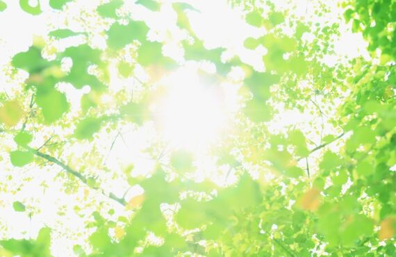 シンプルな外観の新築の平屋住で自分らしい暮らしをしたい方